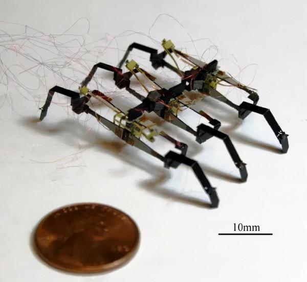 哈佛大學微型機器人實驗室研究出壓電雙晶片多足機器人 哈佛大學微型機器人實驗室研究出壓電雙晶片多足機器人