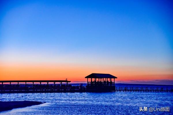 額濟納這些最美秋色,今年看不到了,來年你要去嗎? 額濟納這些最美秋色,今年看不到了,來年你要去嗎?