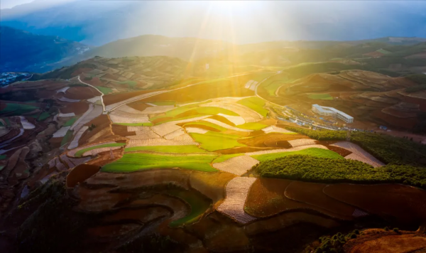 雲南恢復跨省遊！2021年最後兩週，我們該去雲南看看另一種冬天