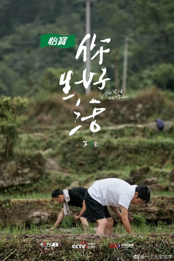 豆瓣8.5！王冰冰、撒貝南加盟的央視王牌綜藝，海報值得打10分