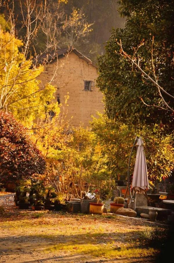 旅遊也要捲起來！！偷偷收藏秋季最美的8個地方....