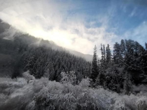 九寨溝的第一場雪 晶瑩剔透 恍若進入了童話世界