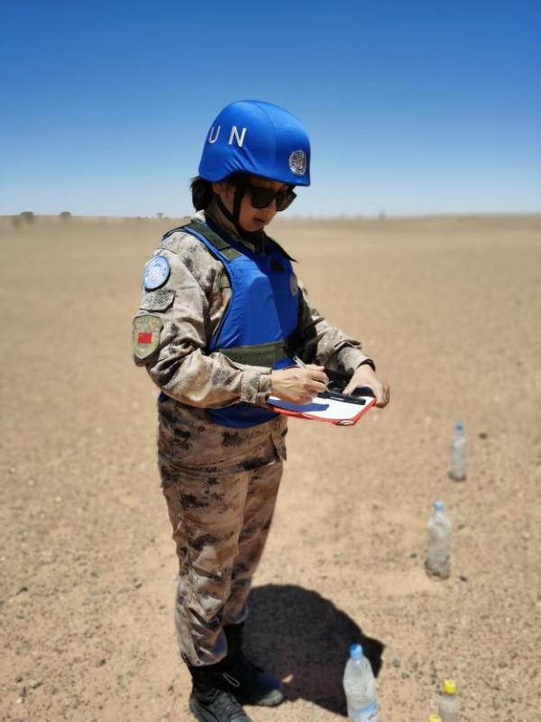 綻放在西撒哈拉的中國玫瑰