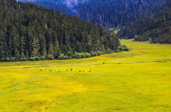雲南不能錯過的七個5a景區,你知道是哪些嗎? 雲南不能錯過的七個5a景區,你知道是哪些嗎?