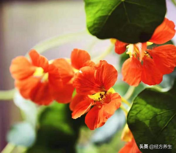 如何才能做到不生病，少生病？