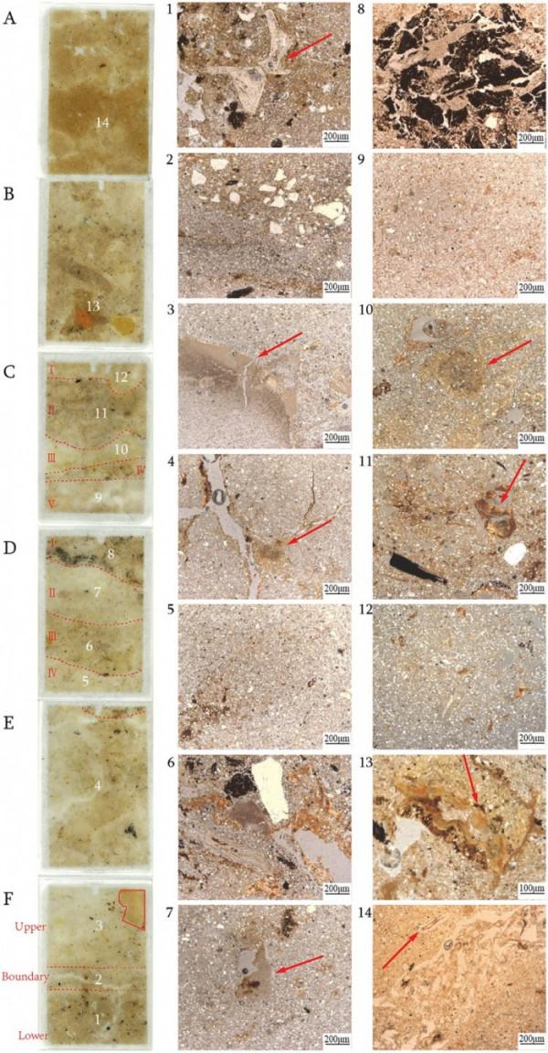 研究揭示美國首個古老文明遺蹟由技術嫻熟的工程師們創造 研究揭示美國首個古老文明遺蹟由技術嫻熟的工程師們創造