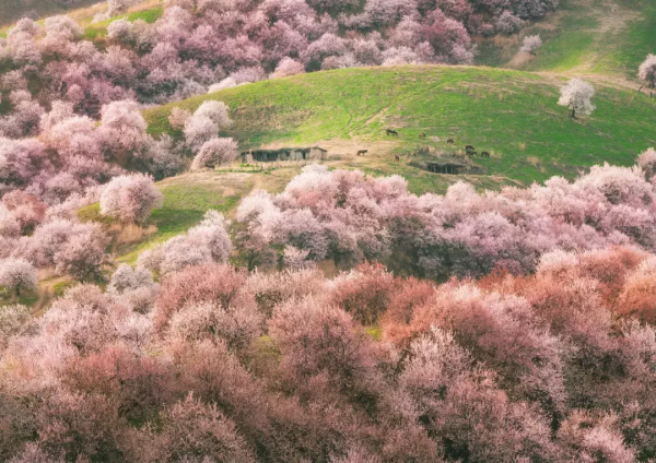 2022年，國內旅行時間表出爐，一鍵解鎖12個月的最佳旅行地