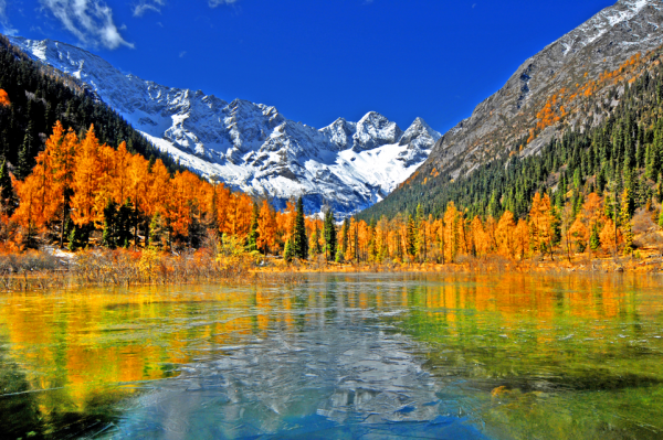 多彩金秋｜十月，我想去川西！