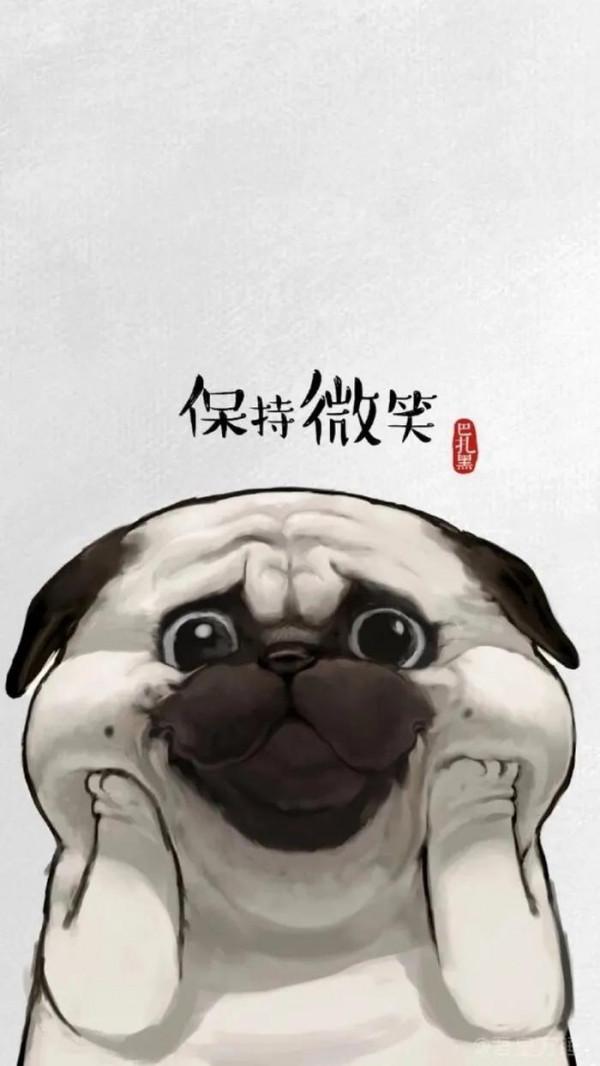 美麗奇趣動物世界，你認識幾種呢？