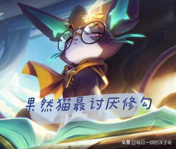 上單懲戒風女遭制裁，無限亂鬥熱補丁上線壓力來到了貓咪和劫這邊