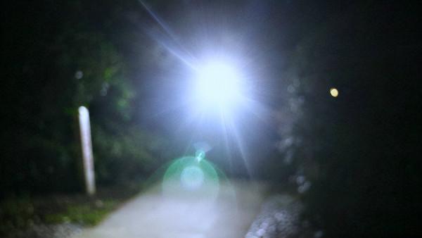 傲雷指揮家3龍鳳限量版,醉人國風美豔絕倫 傲雷指揮家3龍鳳限量版,醉人國風美豔絕倫