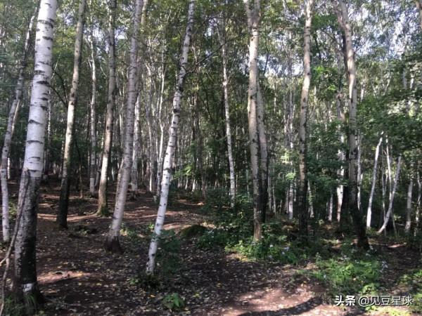 賞紅葉看秋景的好線路,秋天親子游攻略 賞紅葉看秋景的好線路,秋天親子游攻略