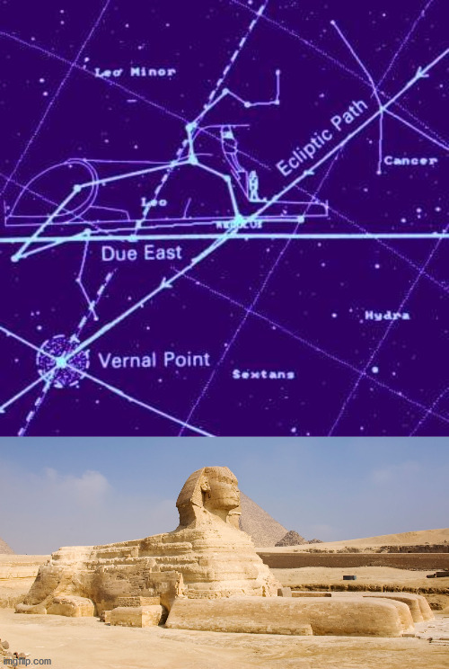 33張罕見的照片,白鸛把孩子從高空扔出巢穴,滑鼠手機你見過嗎? 33張罕見的照片,白鸛把孩子從高空扔出巢穴,滑鼠手機你見過嗎?