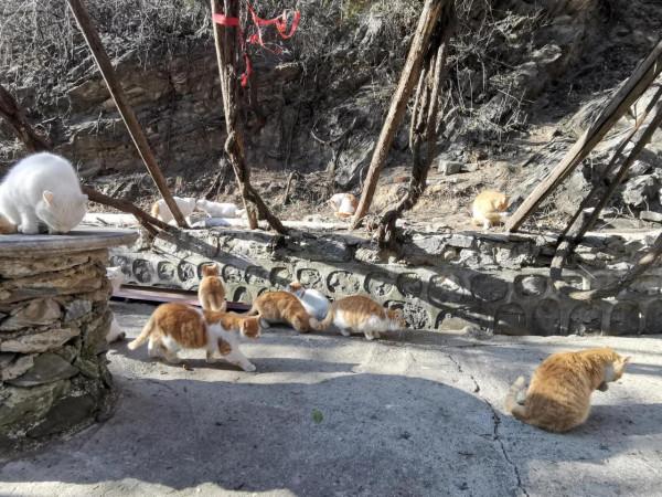 冬天難得開放景區聖泉山，縱觀懷柔水庫，箭扣，慕田峪全貌