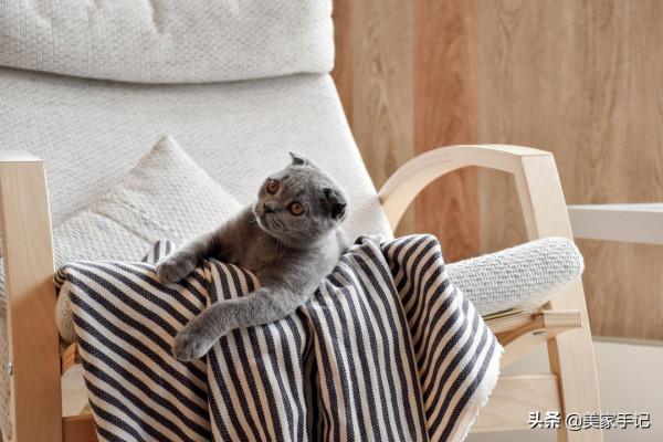 32歲阿姨的窮裝新房火了，大白牆不弔頂，軟裝的力量實在是太強大