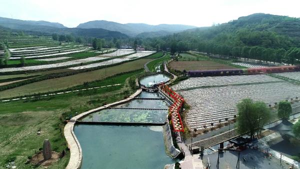 隴上傳說（509）丨秦始皇與公羊廟（上）