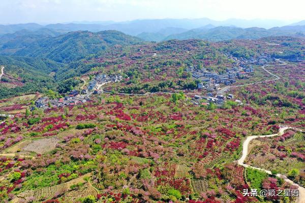 大唐褚遂良後裔聚居地，高山村落大年村，天空之境