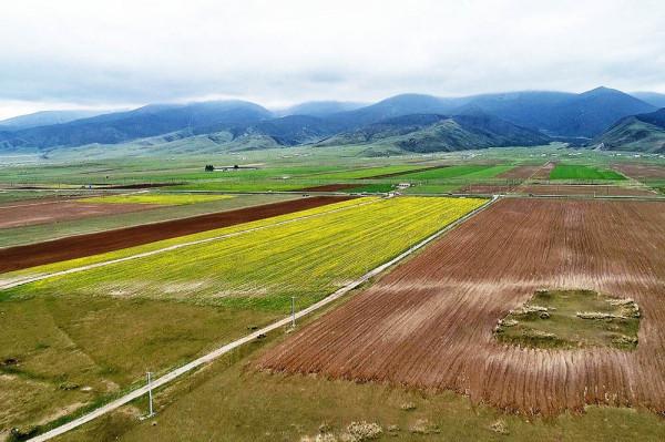 全新標緻4008環青海長測Day1：西寧開始遊記，今天目的地茶卡鎮！