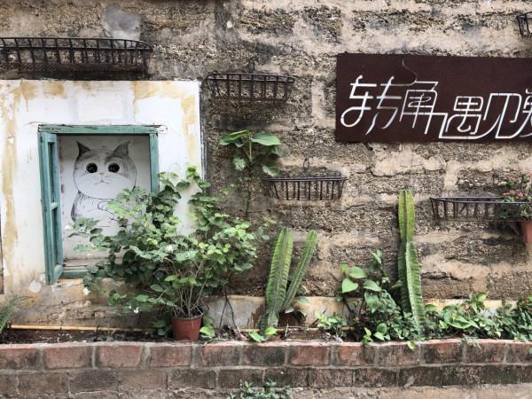 北海潿洲島旅遊攻略