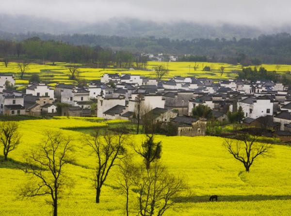 歙縣、黟縣、柘皋、濉溪、渦陽，安徽五大難讀地名，你能讀對幾個