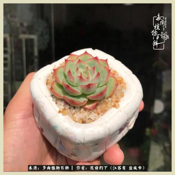 你儘管善良,福報都在路上 你儘管善良,福報都在路上