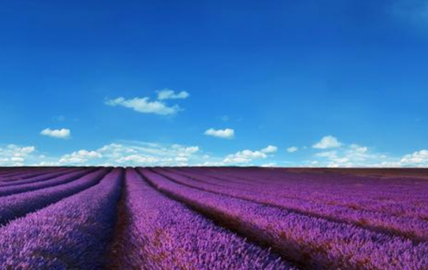 中年之後,4個星座,一步一個腳印打拼,總能扭轉敗局 中年之後,4個星座,一步一個腳印打拼,總能扭轉敗局