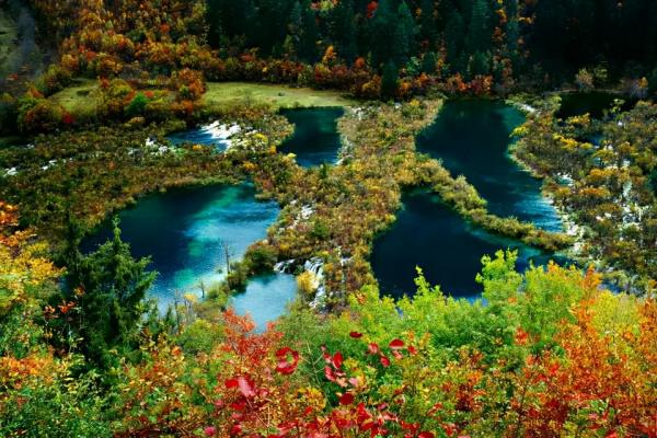 走,去川西看秋色大片 走,去川西看秋色大片