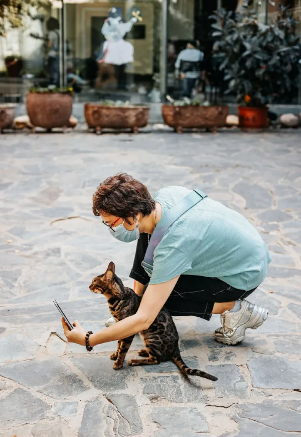 貓館長的業餘生活，大公開