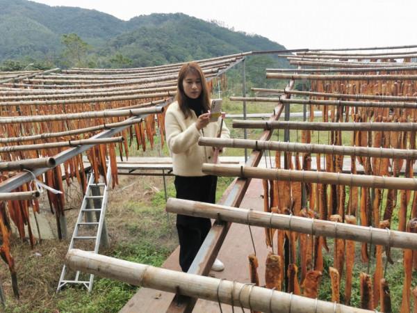 橫河臘味又飄香 直播助力土特產“變現”