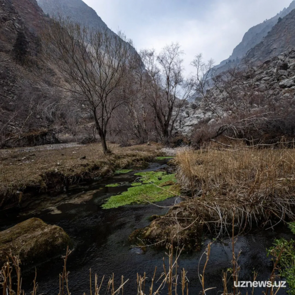 烏茲別克竟有如此神秘美景