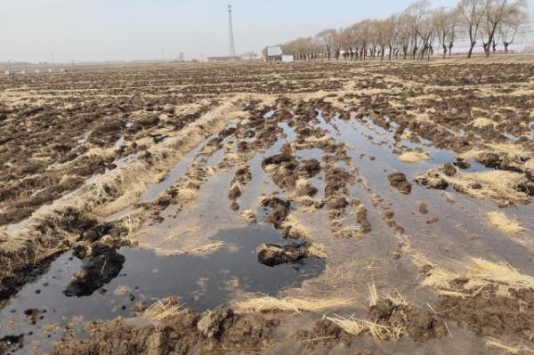 未來農村的地會打亂重分嗎?“村鎮合併”要怎麼做才好? 未來農村的地會打亂重分嗎?“村鎮合併”要怎麼做才好?