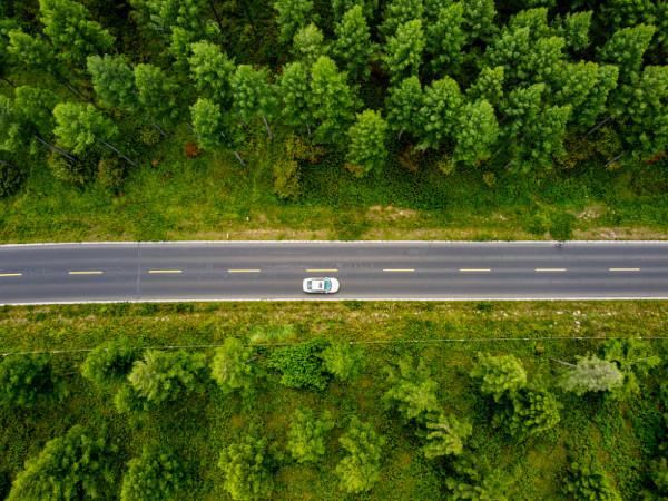 河北塞罕壩機械林場：煥發盎然“綠”意