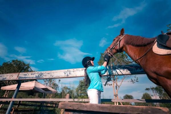 網紅照騙有風險？來羅浮山溫泉旅遊度假區，一秒真實出片！
