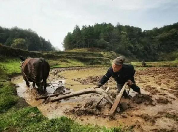 我一生都在操心