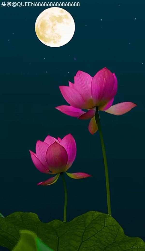 中秋節禁忌 中秋節禁忌