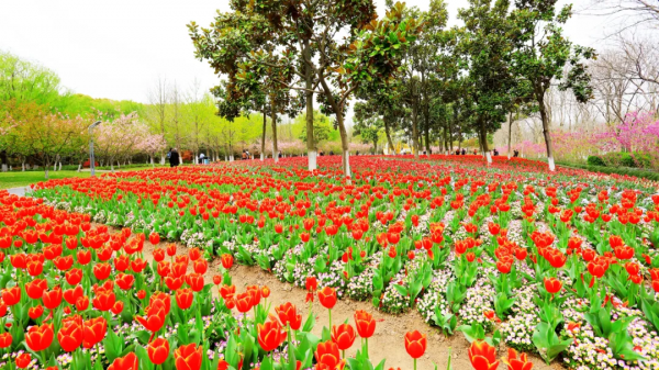 閔行體育公園&OpenCurlyDoubleQuote;千米花道&rdquo;