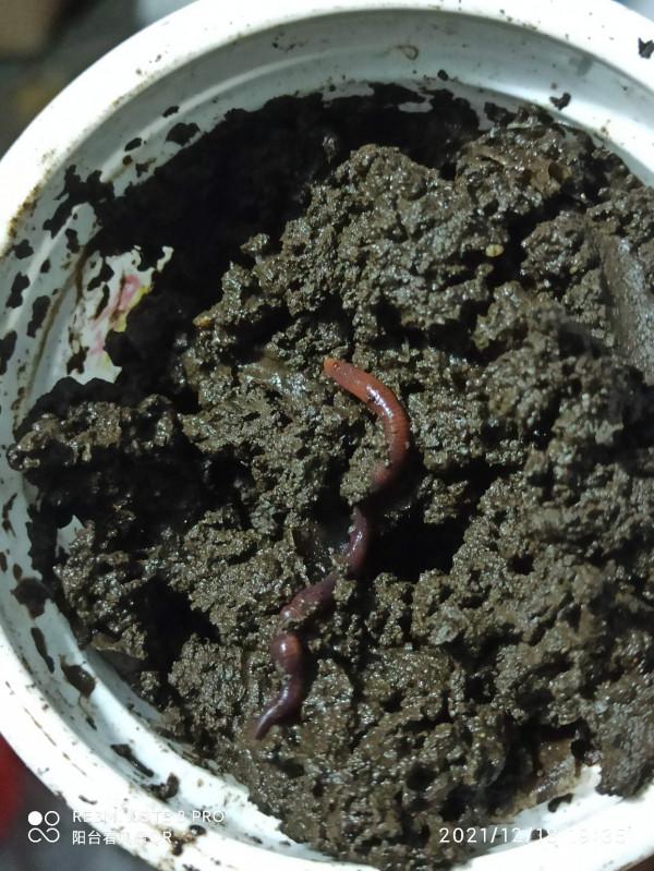 釣魚人的智慧無窮無盡,地下室秒變複式倉庫 釣魚人的智慧無窮無盡,地下室秒變複式倉庫