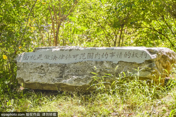 免費！這些公園低調卻各有特色，還有綠皮火車！