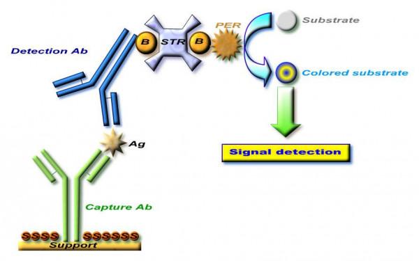 風溼難道只能等著致殘嗎？這種療法既沒藥物副作用也不擔心復發