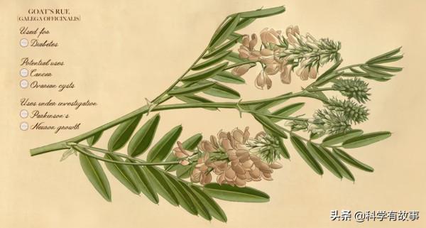 發現胰島素的曲折歷史：窮醫生班廷破釜沉舟，多倫多男孩九死一生