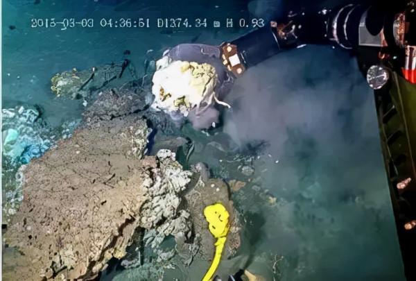 5500萬年前，地球發了一場“高燒”，逼得鯨魚祖先下了海