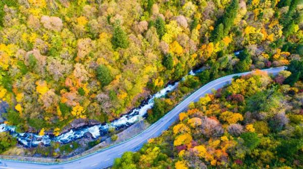 「畢棚溝」秋日秘境，品詩和遠方
