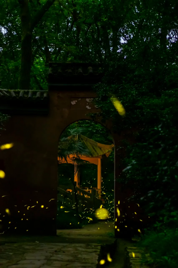 旅行就是一場修行，這10個最美的旅行地，攢錢也要去