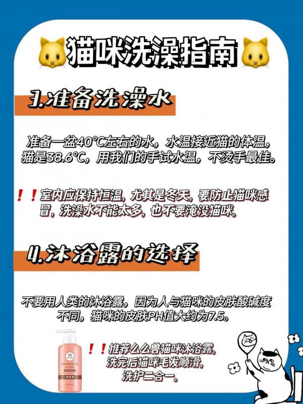 鏟屎官按照這八個步驟，你家貓咪秒變乖