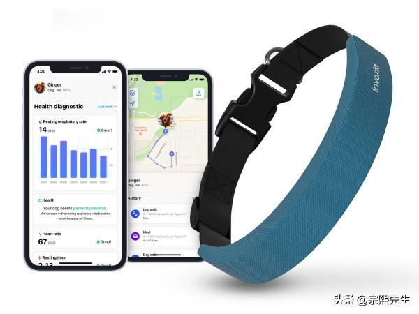 寵物狗走失不用發愁，Invoxia釋出智慧狗項圈，找回簡單高效