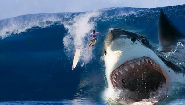 遠古時期的地球，有哪些可以稱作是“遠古巨獸”的生物？