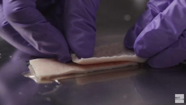 華人團隊發明手術級強力膠帶：快速外科止血，拯救成千上萬生命