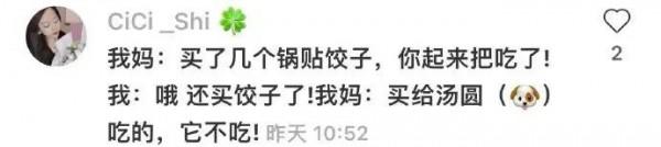 不養寵物你都不知道，它們來了後你的家庭地位能下降到什麼程度