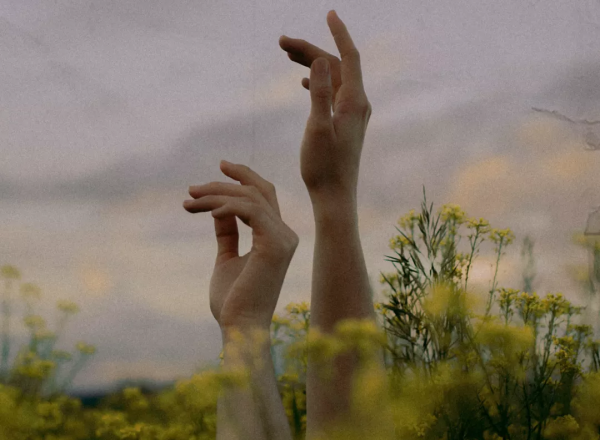 警惕你身邊正能量爆棚的人