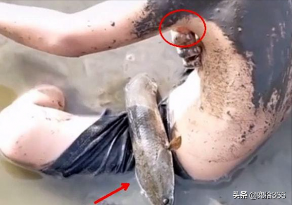 廣東一男子垂釣的途中，帶著孩子下塘渾水摸魚，結果卻哭笑不得